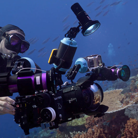 Ambient blue light filter for SL50/SL120 professional underwater video light