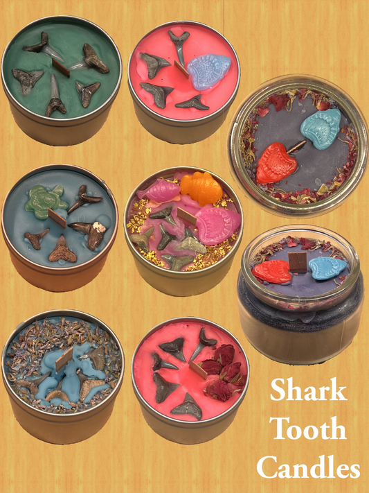 Shark Tooth Candle image 0